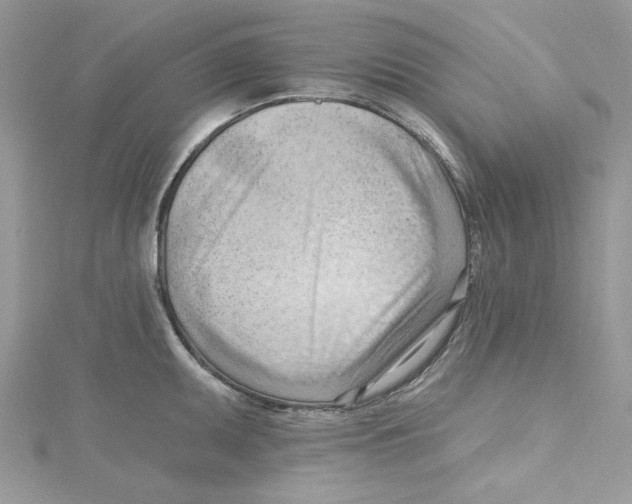 X0000114631095200911171004