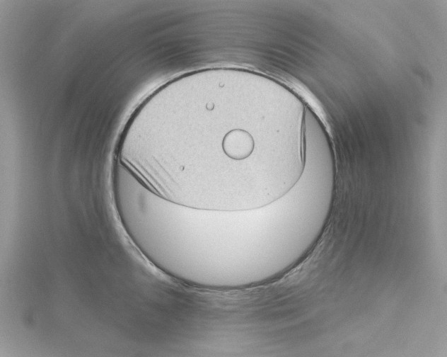 X0000114631096200911171004