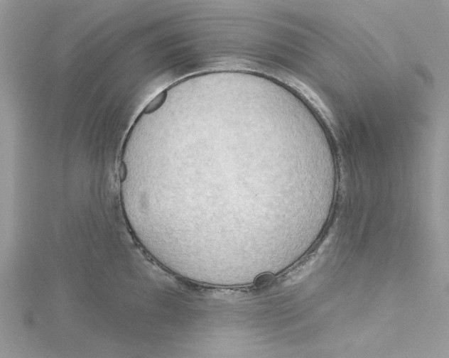 X0000114631097200911171004