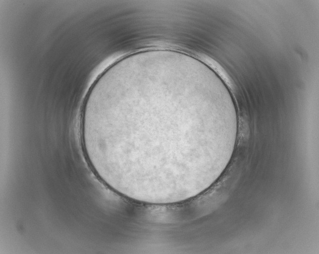 X0000114631098200911171004