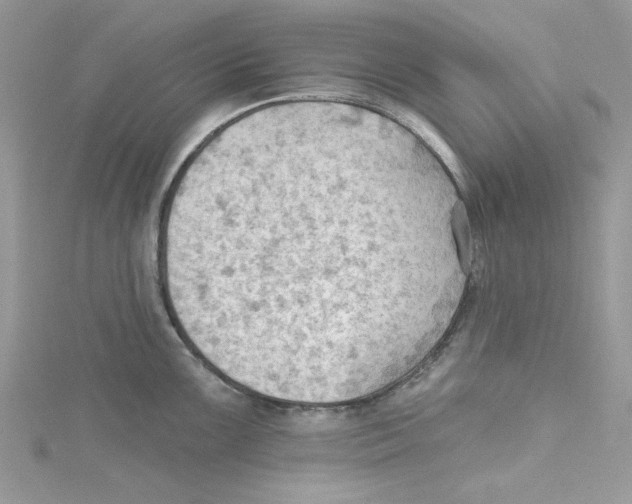 X0000114631099200911171004