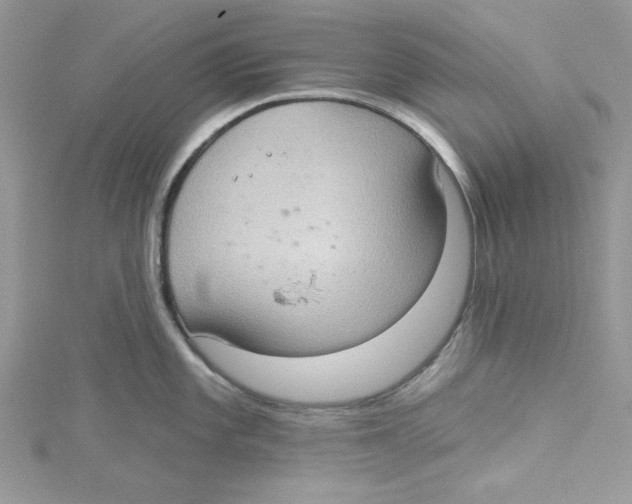 X0000114631101200911171004