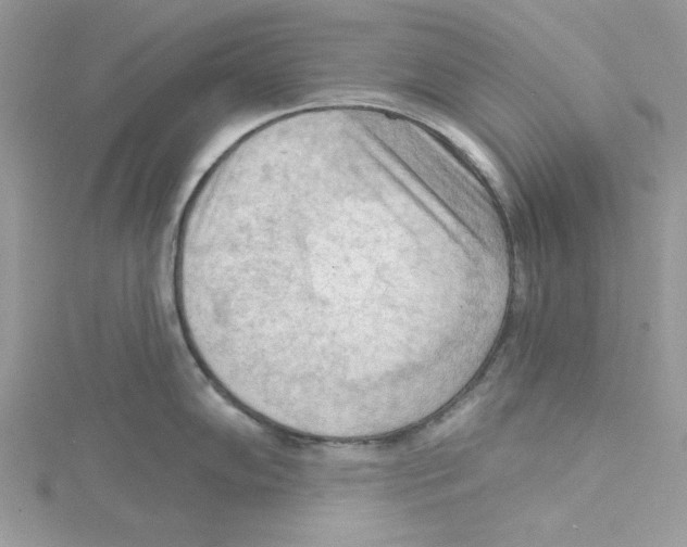 X0000114631102200911171004