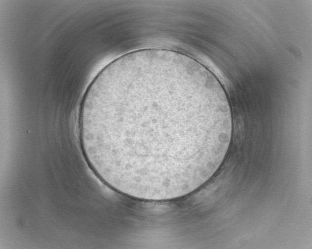 X0000114631103200911171004