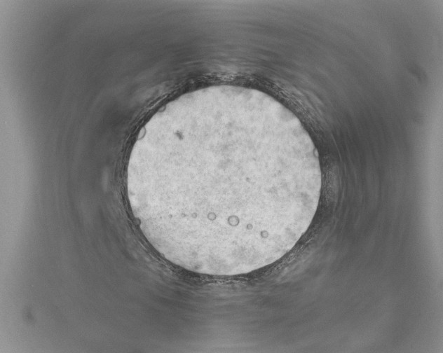 X0000114631105200911171004