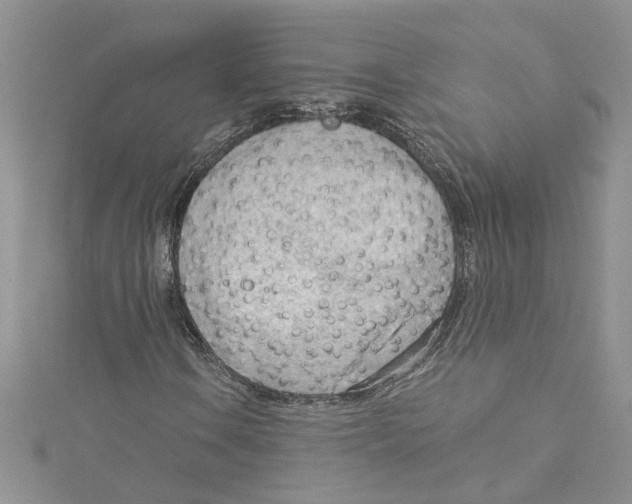 X0000114631106200911171004