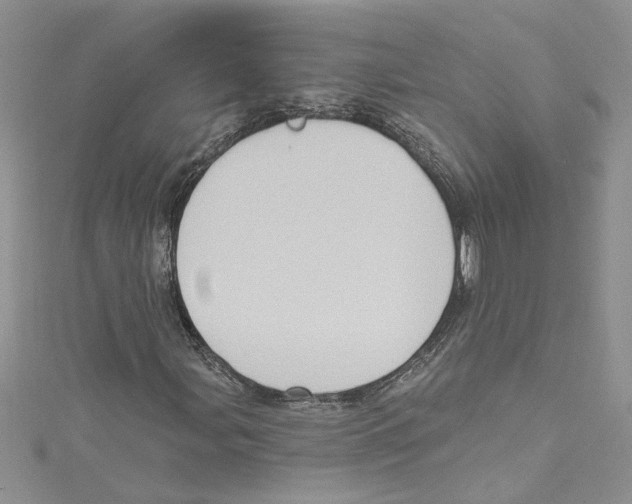 X0000114631107200911171004