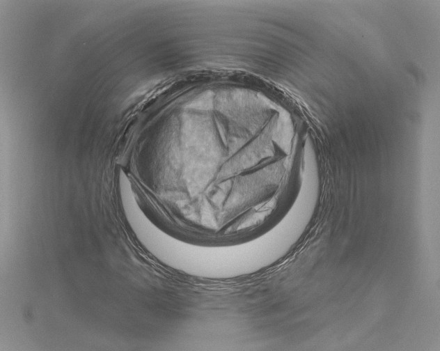 X0000114631110200911171004