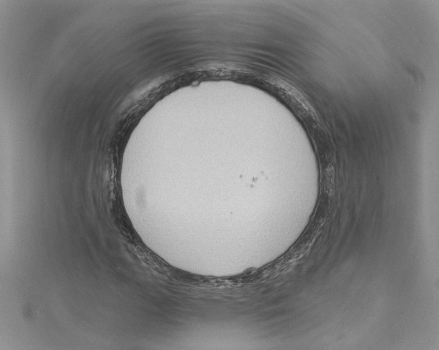 X0000114631111200911171004