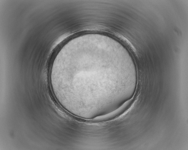 X0000114631114200911171004