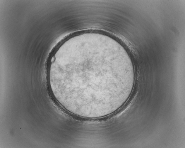 X0000114631118200911171004