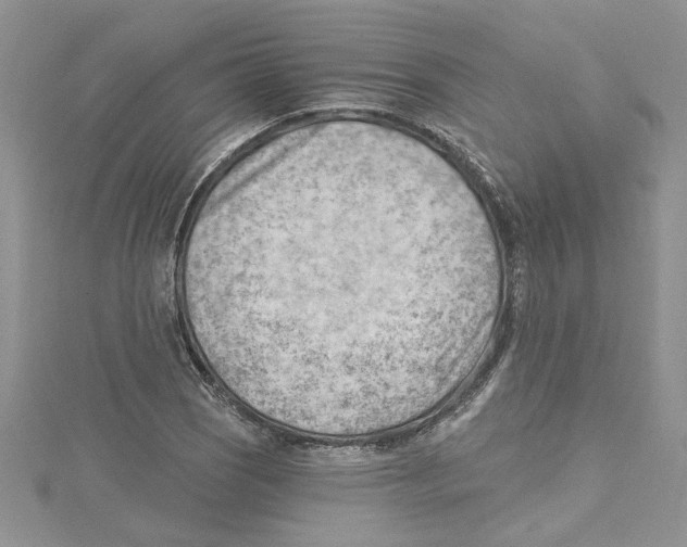 X0000114631121200911171004