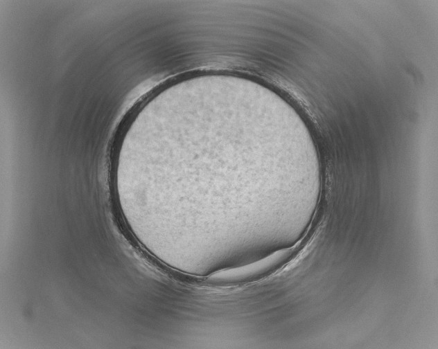 X0000114631122200911171004