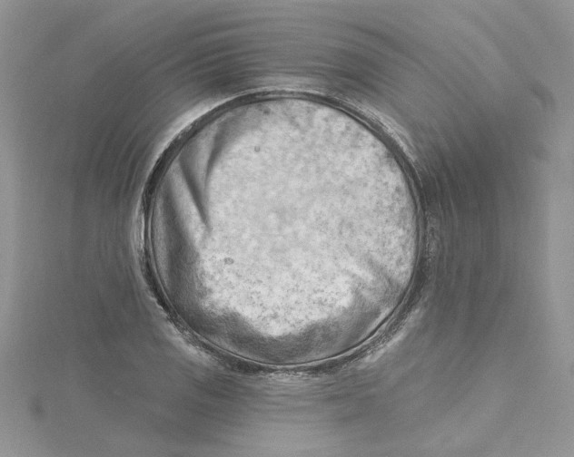 X0000114631125200911171004