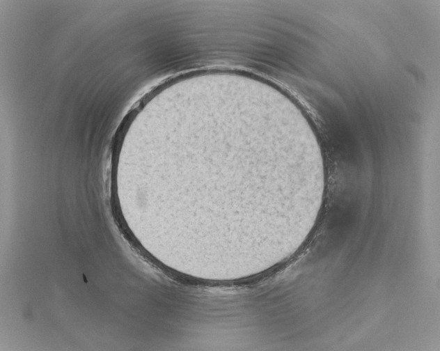 X0000114631126200911171004