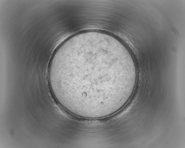 X0000114631129200911171004