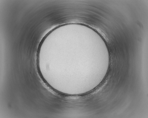 X0000114631134200911171004