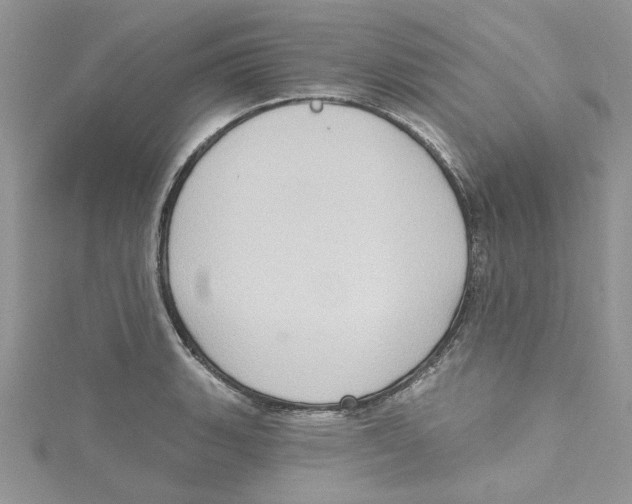 X0000114631135200911171004