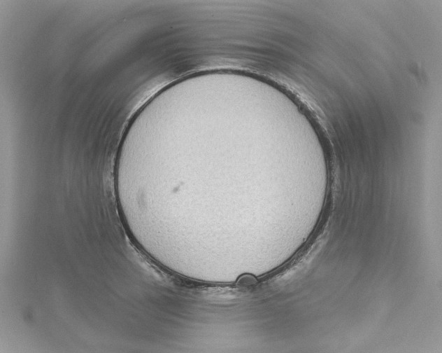 X0000114631137200911171004