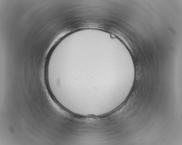 X0000114631139200911171004