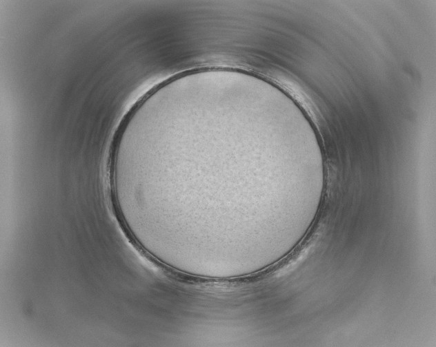 X0000114631141200911171004