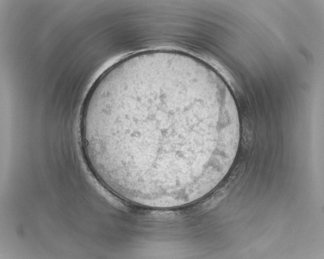 X0000114631142200911171004