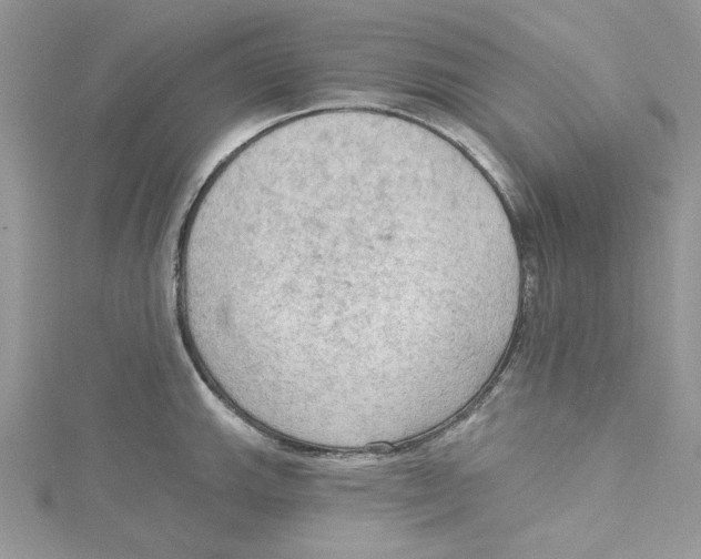 X0000114631143200911171004