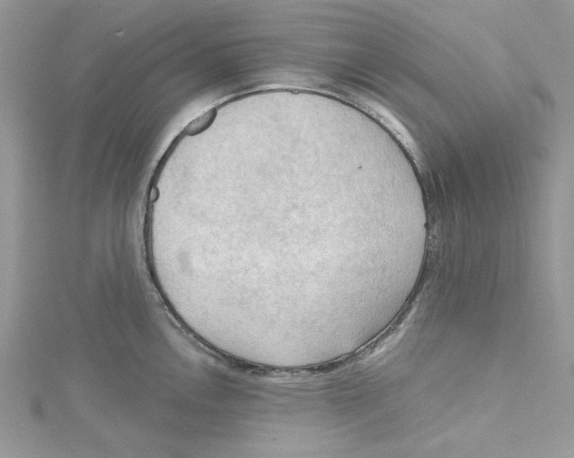 X0000114631146200911171004