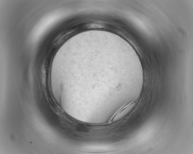 X0000114631151200911171004