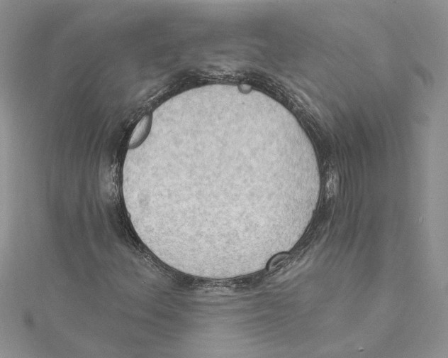 X0000114631156200911171004