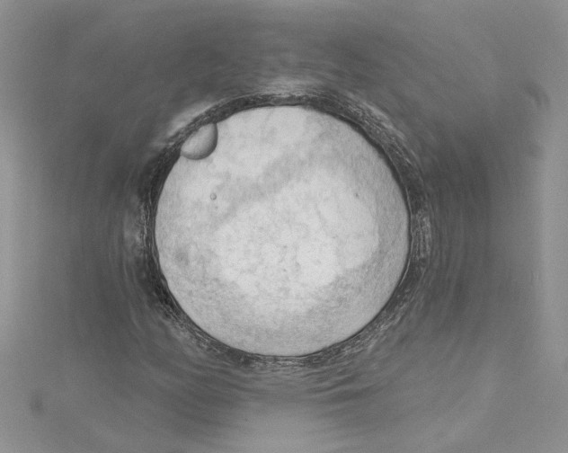 X0000114631158200911171003