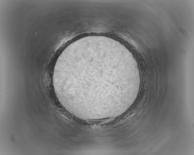 X0000114631160200911171003