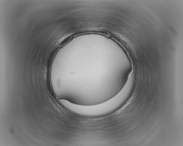 X0000114631161200911171003