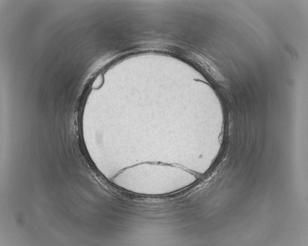 X0000114631164200911171003