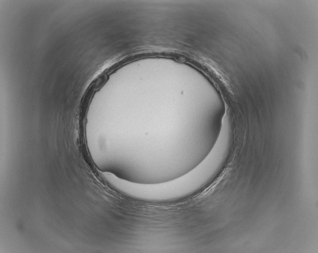 X0000114631165200911171003