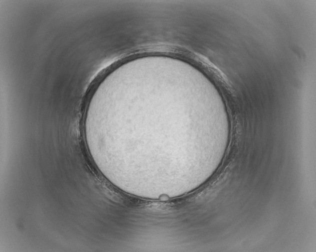 X0000114631166200911171003