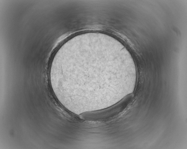 X0000114631168200911171003