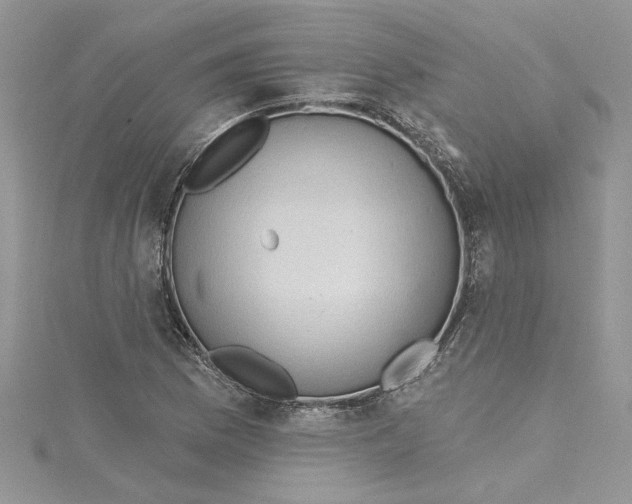 X0000114631169200911171003