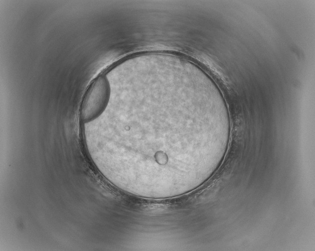 X0000114631173200911171003