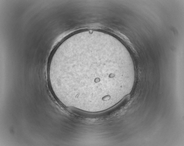 X0000114631176200911171003