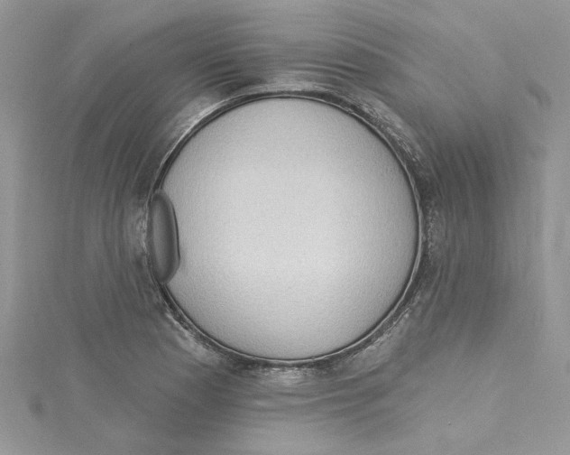 X0000114631177200911171003