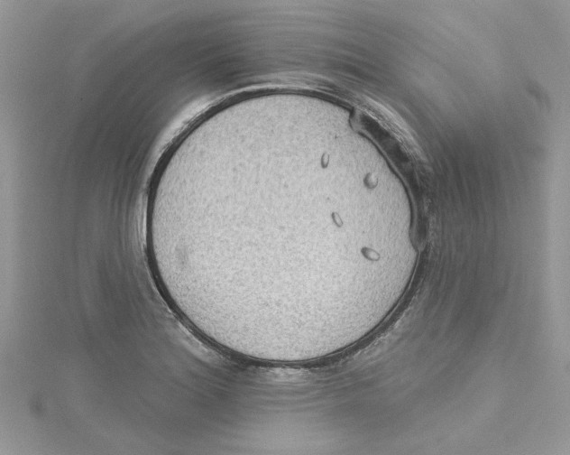 X0000114631180200911171003