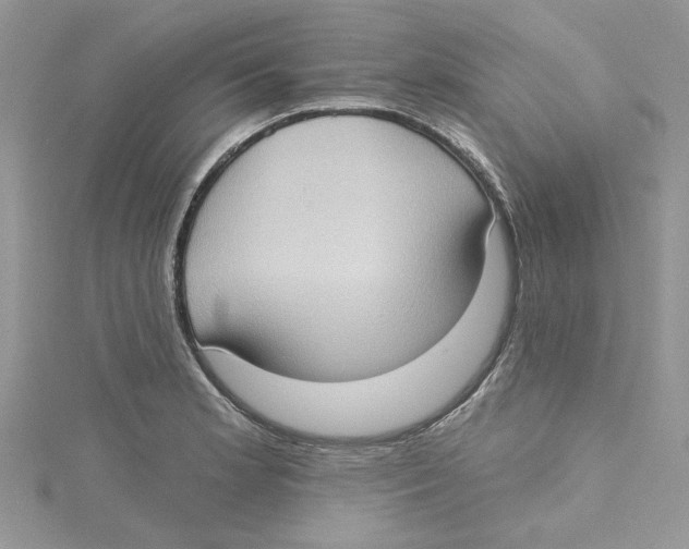 X0000114631181200911171003