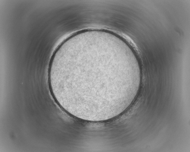 X0000114631183200911171003