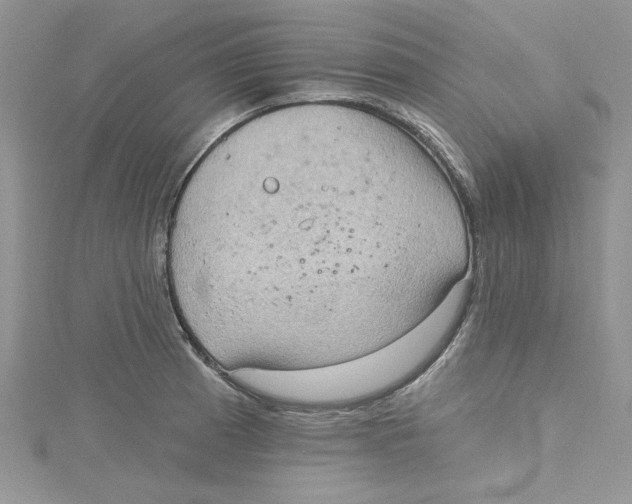 X0000114631185200911171003