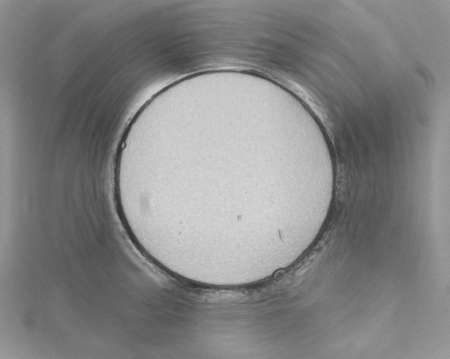 X0000114631187200911171003