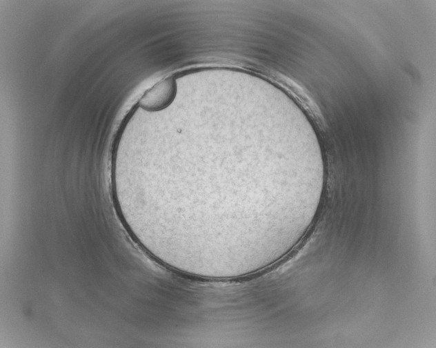 X0000114631188200911171003