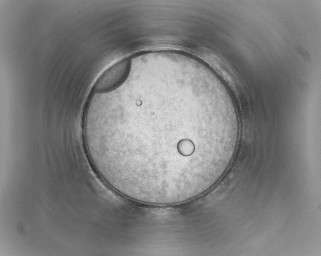 X0000114631189200911171003