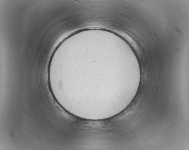 X0000114631191200911171003