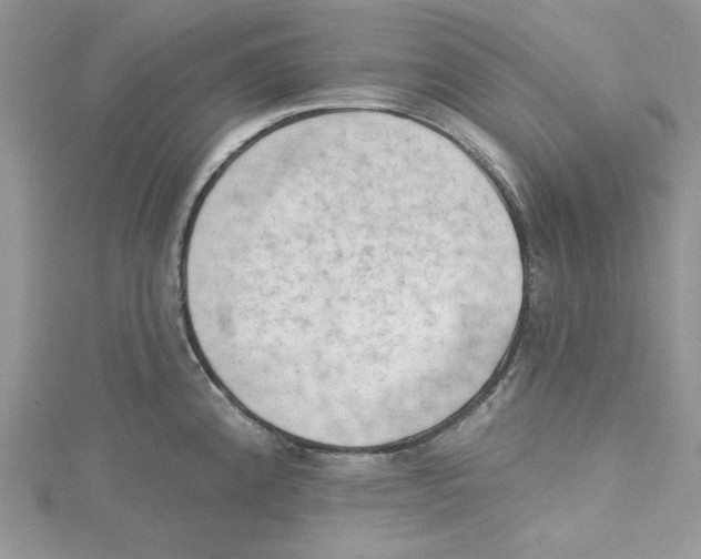 X0000114631192200911171003